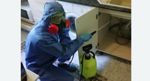 Уничтожение муравьев в квартире. Воткинск