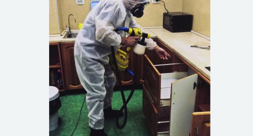 Уничтожение насекомых в квартире. Воткинск
