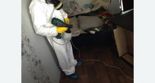 Обработка квартир от насекомых в Воткинске