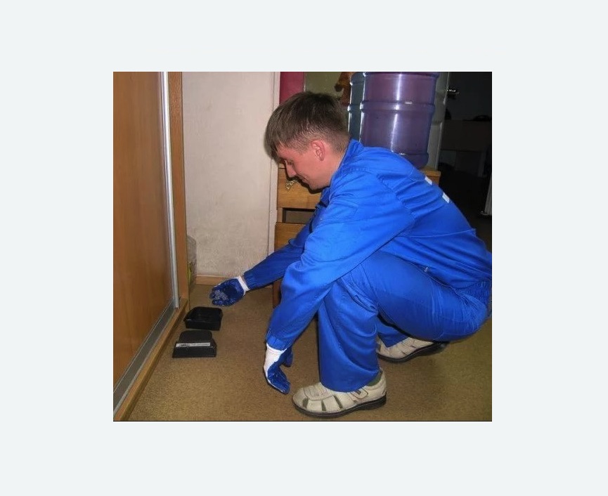 Дератизация крыс в Воткинске