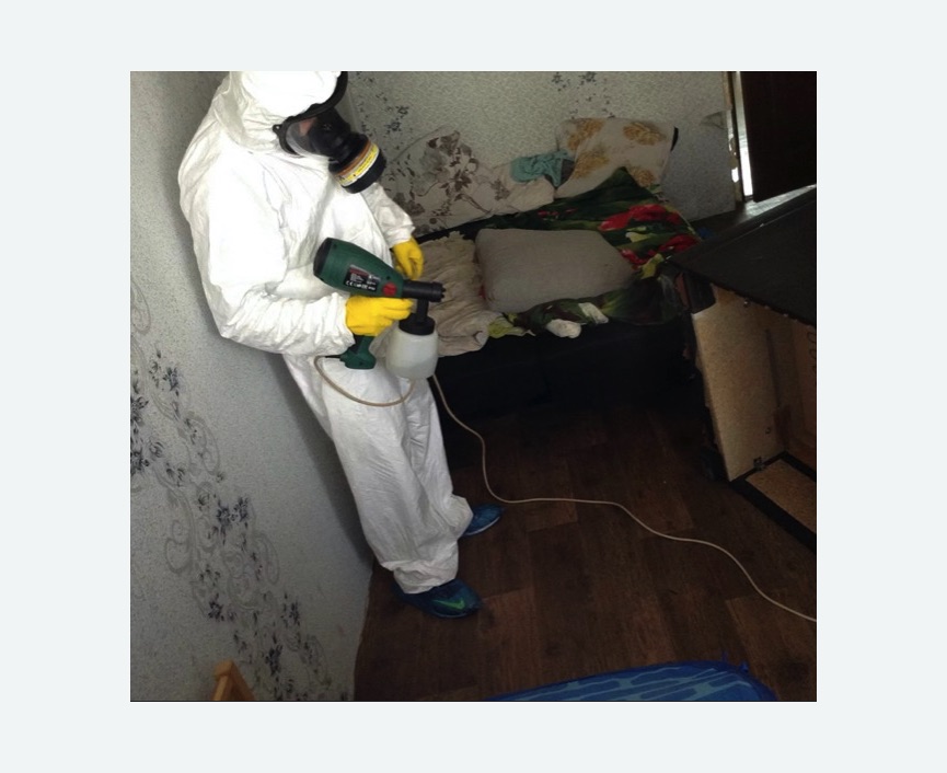 Обработка от насекомых в Воткинске Обработка квартиры от насекомых