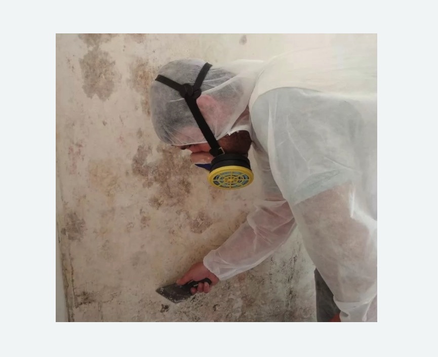 Обработка стен от плесени в Воткинске