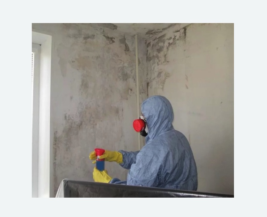 Удаление плесени в квартире в Воткинске