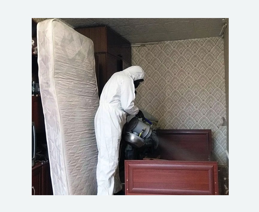 дезинфекция от клопов в Воткинске