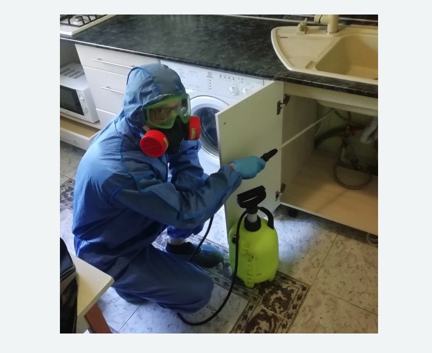 обработка от муравьев в квартире в Воткинске