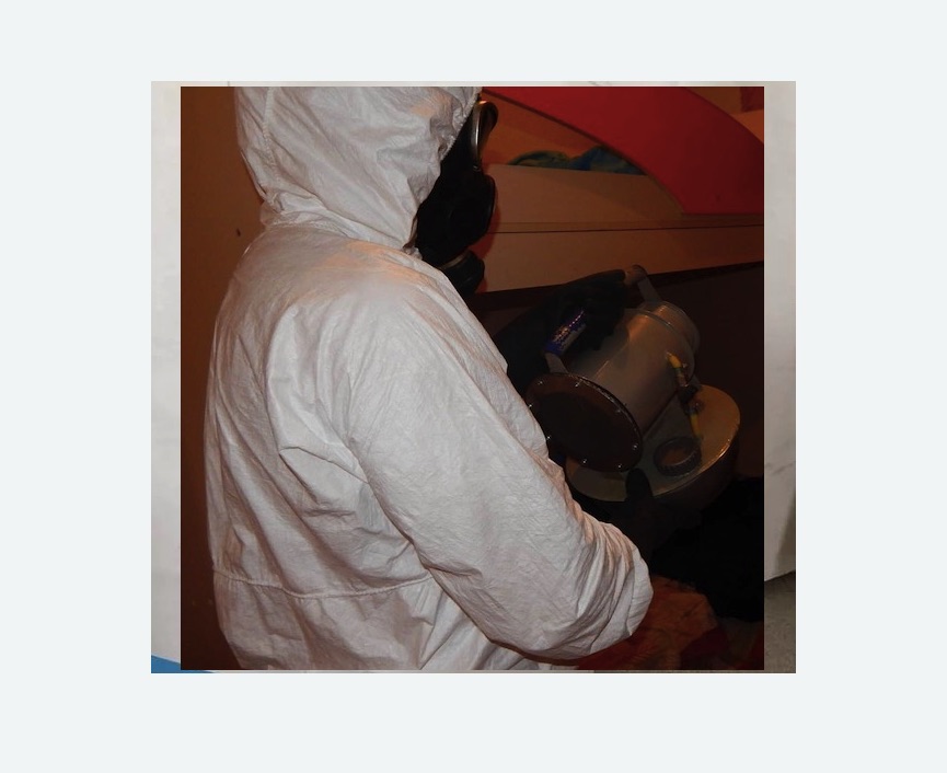 Дезинфекция от муравьев в Воткинске