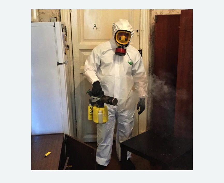 уничтожение муравьев в квартире в Воткинске